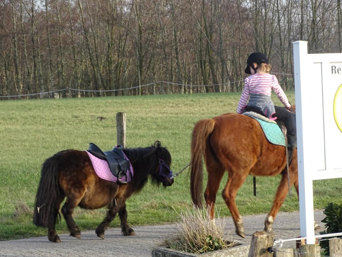 Wohlfuehlurlaub Auf Dem Reit- Und Ferienhof Goldberg Leezdorf Luaran gambar